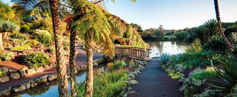 The Gardens Bed And Breakfast Auckland Esterno foto